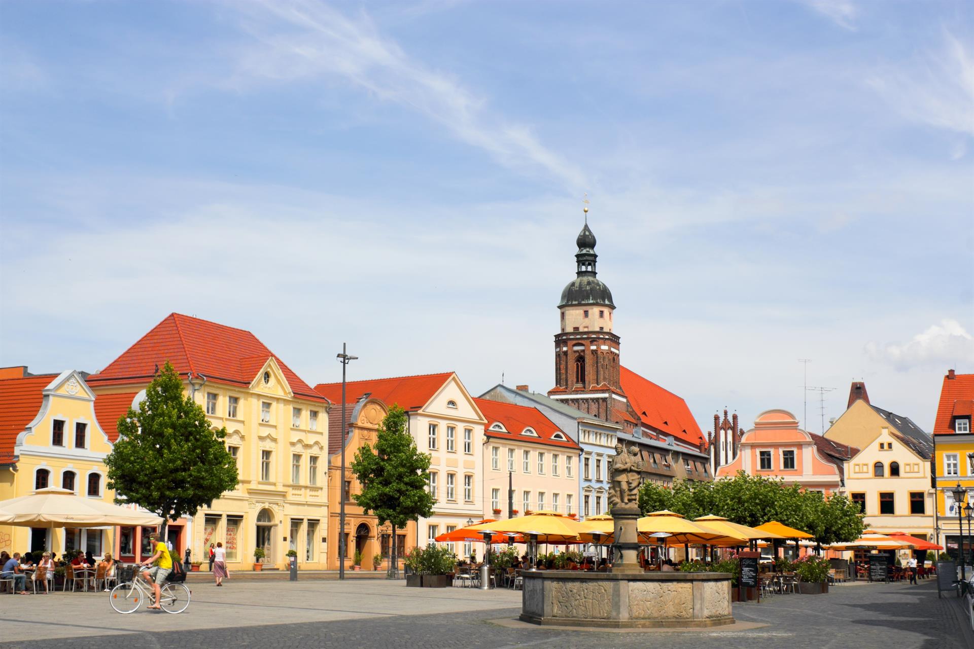 Marketing für Anwalt in Cottbus