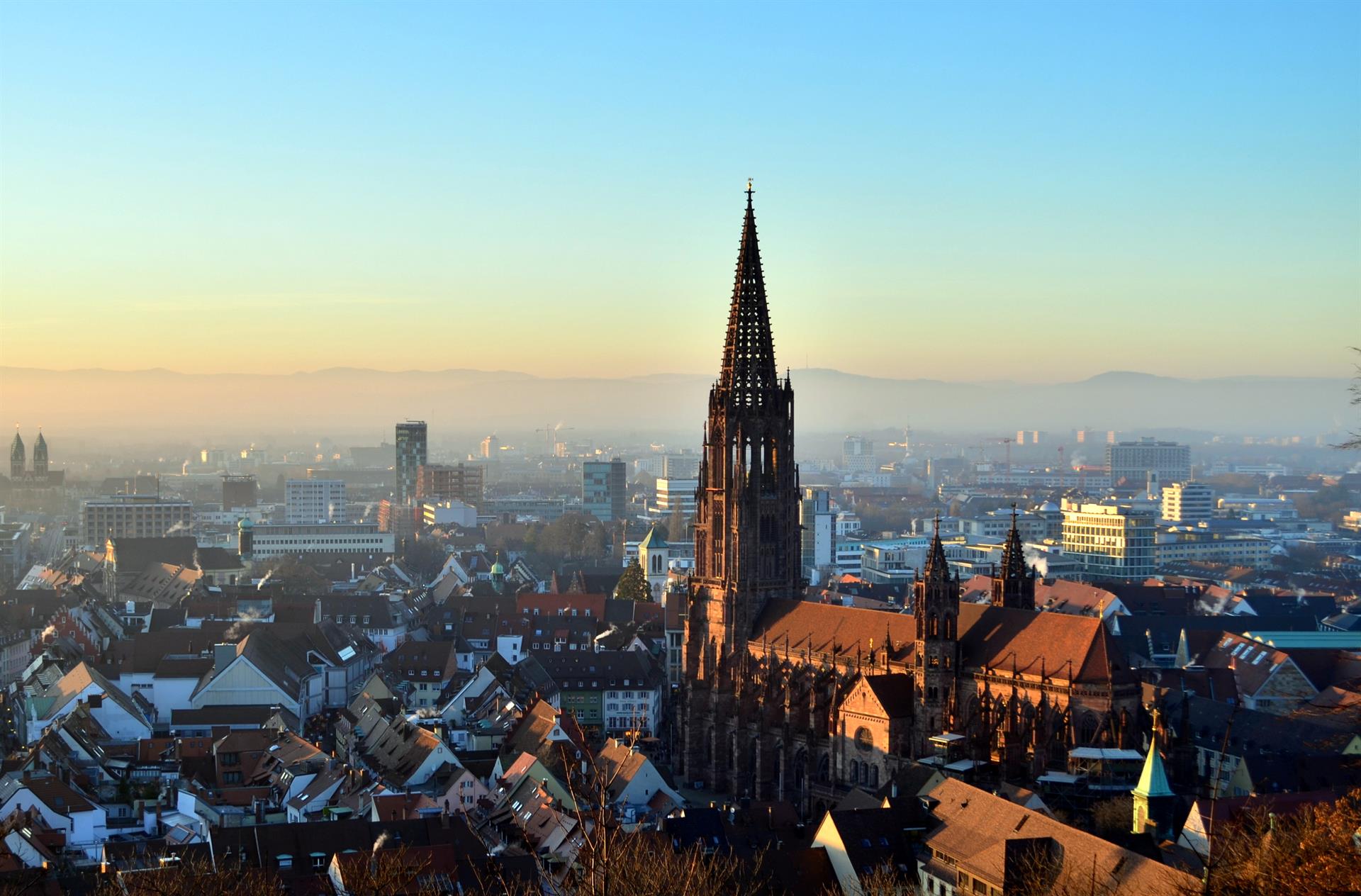 Marketing für Anwalt in Freiburg im Breisgau