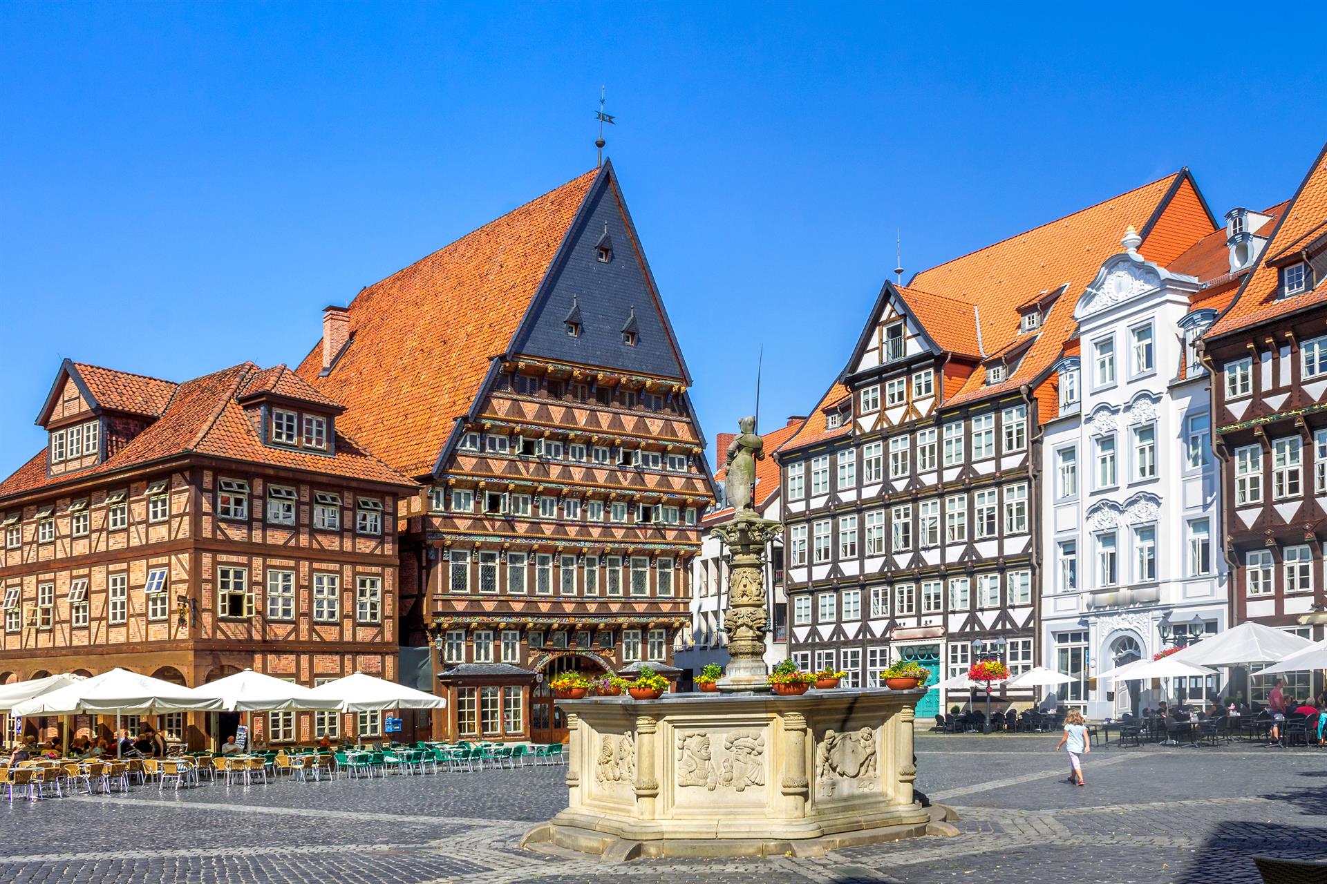 Marketing für Anwalt in Hildesheim